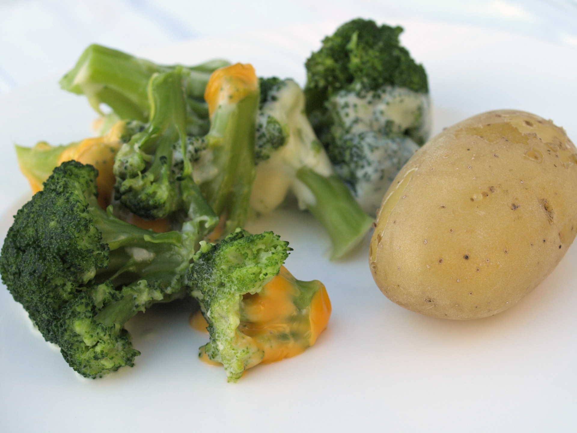 Broccoli, mit Kse berbacken