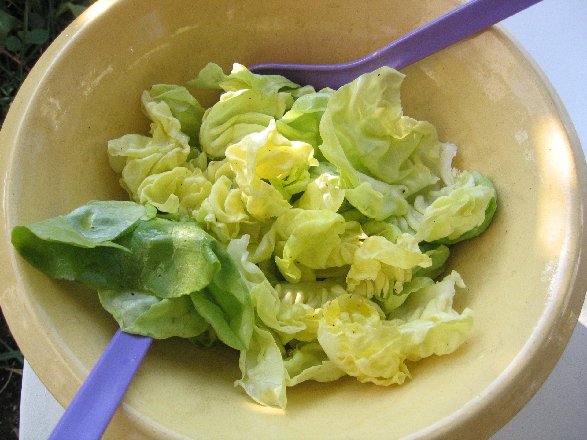 Grner Salat mit Zitronensauce