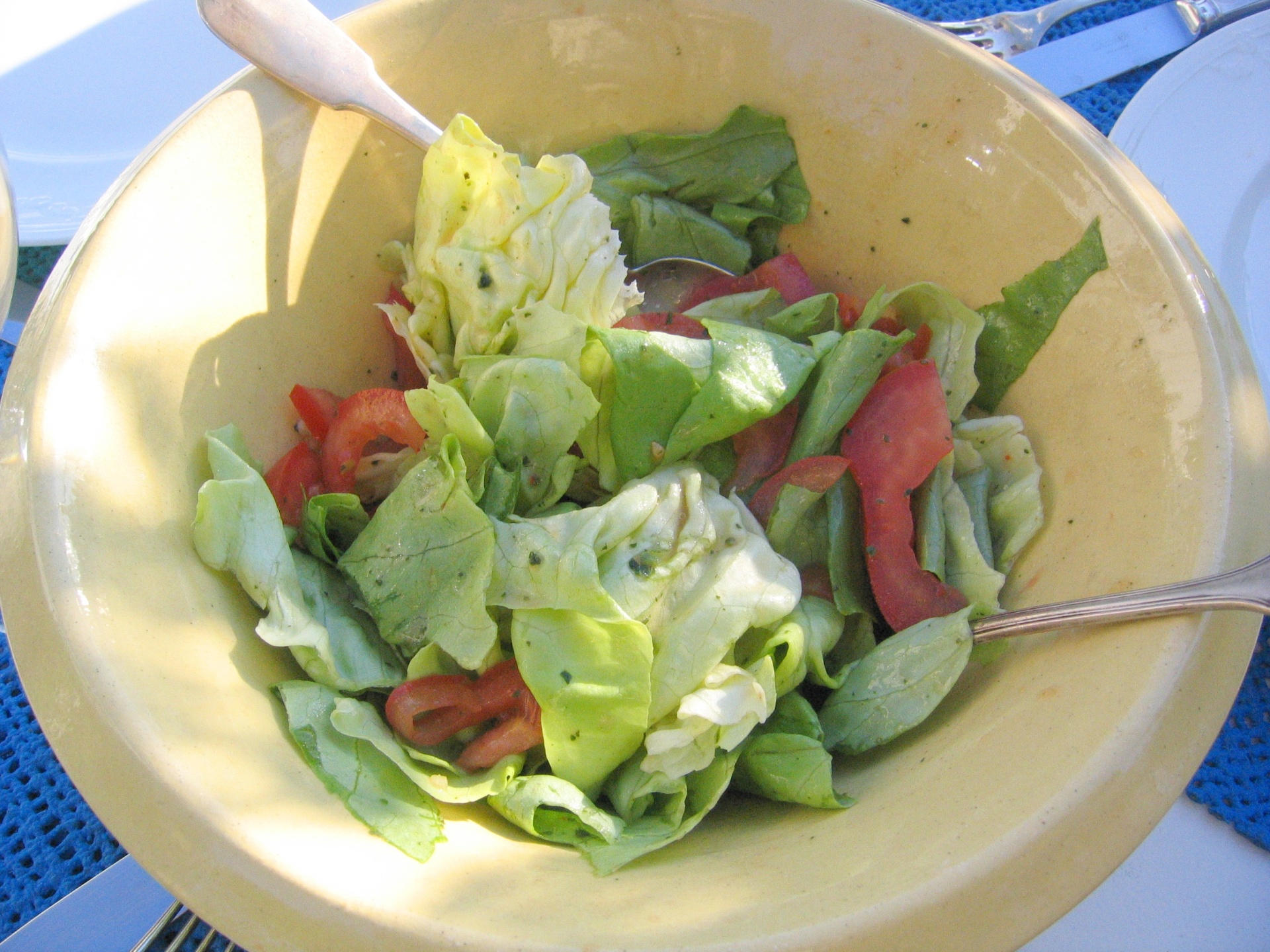 Salat mit Krutersauce