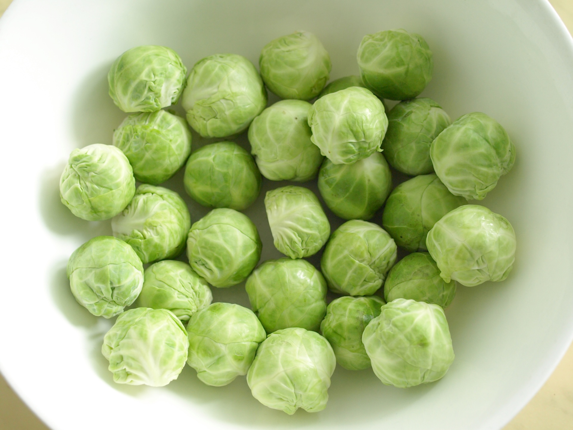 Rosenkohl