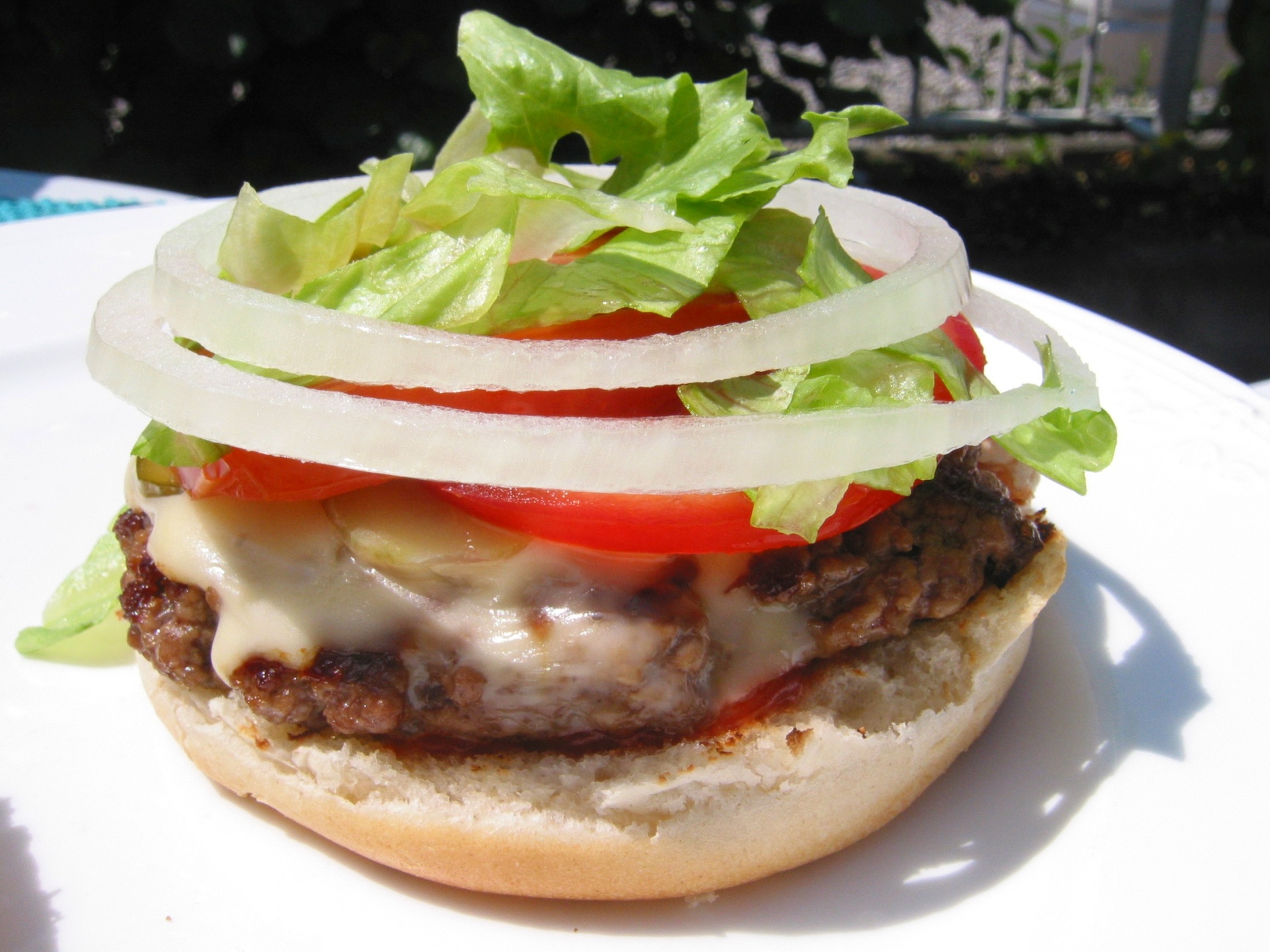 Hamburger 