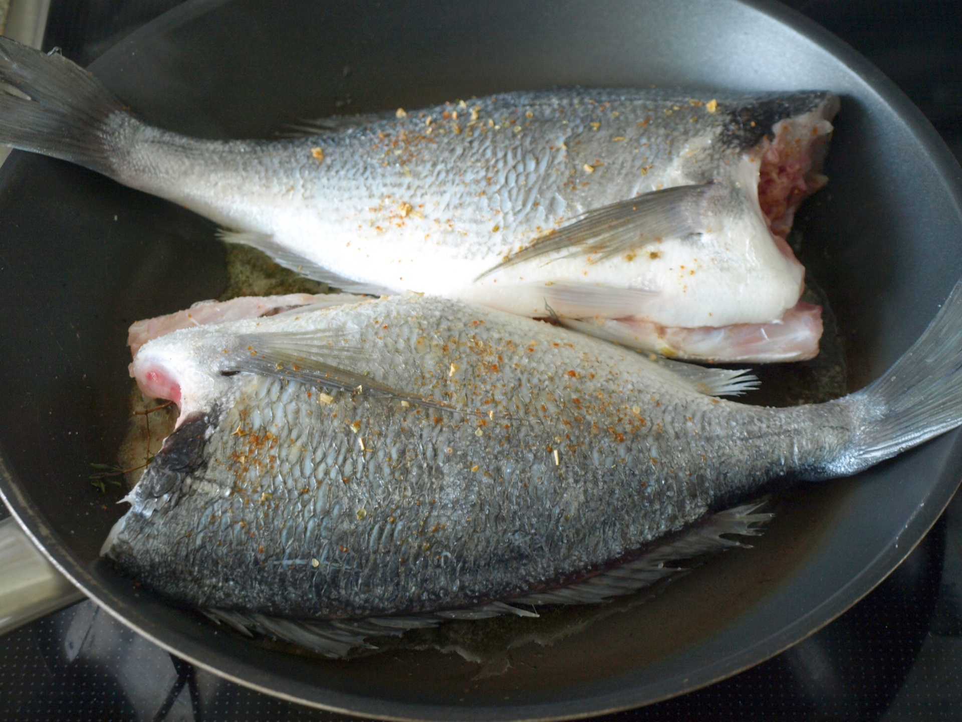 Dorade, in Olivenl und Butter gebraten