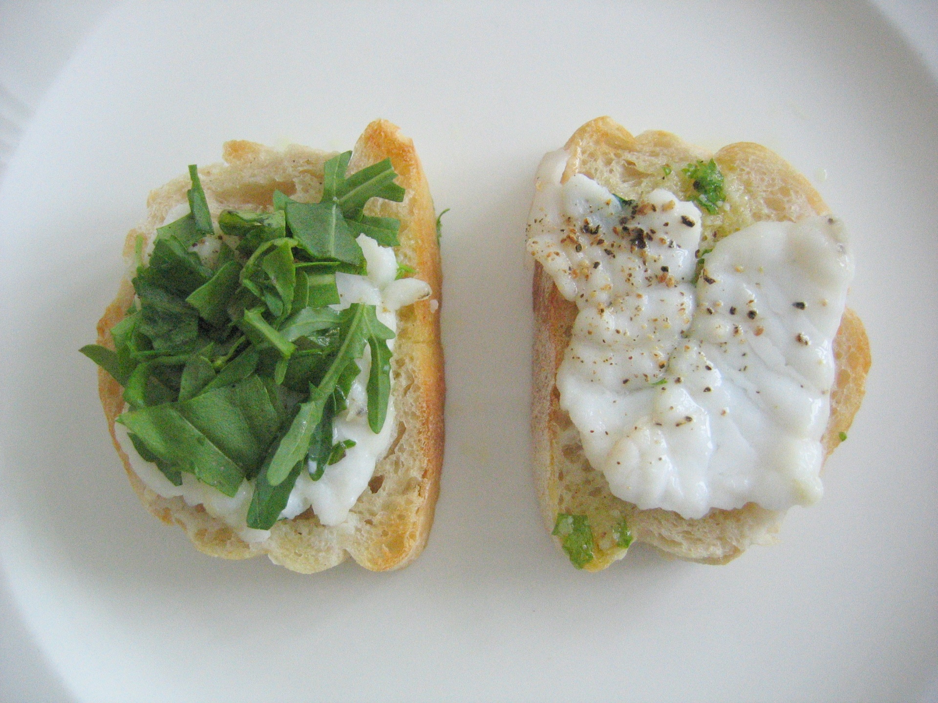 Rstbrote mit Seeteufel und Rucola