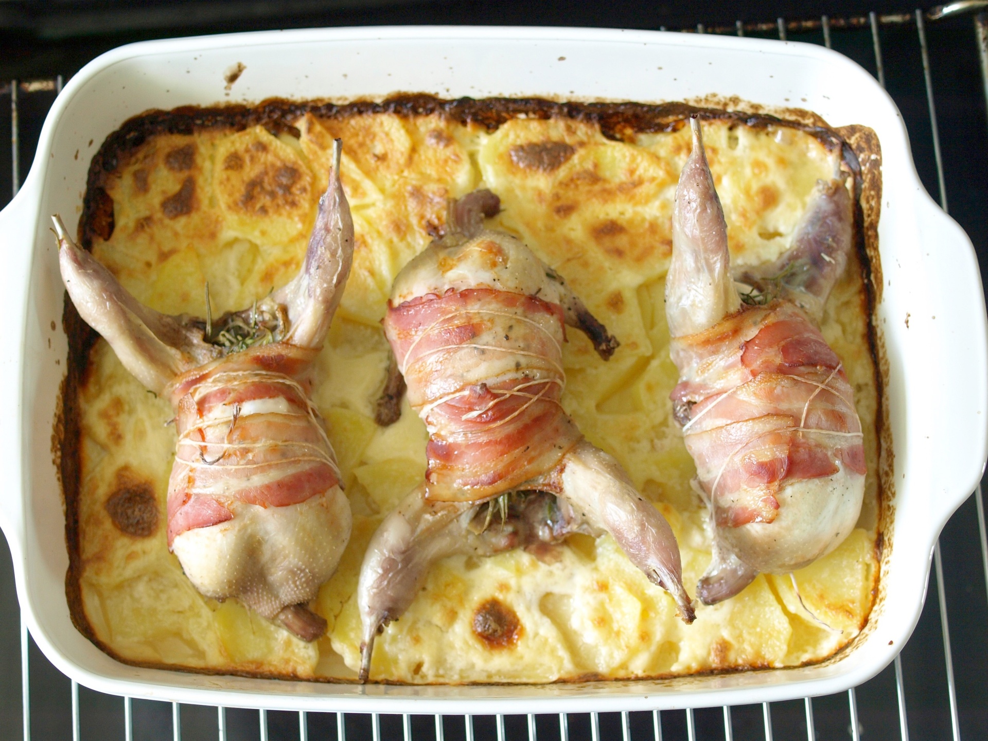 Bardierte Wachteln auf Kartoffelgratin