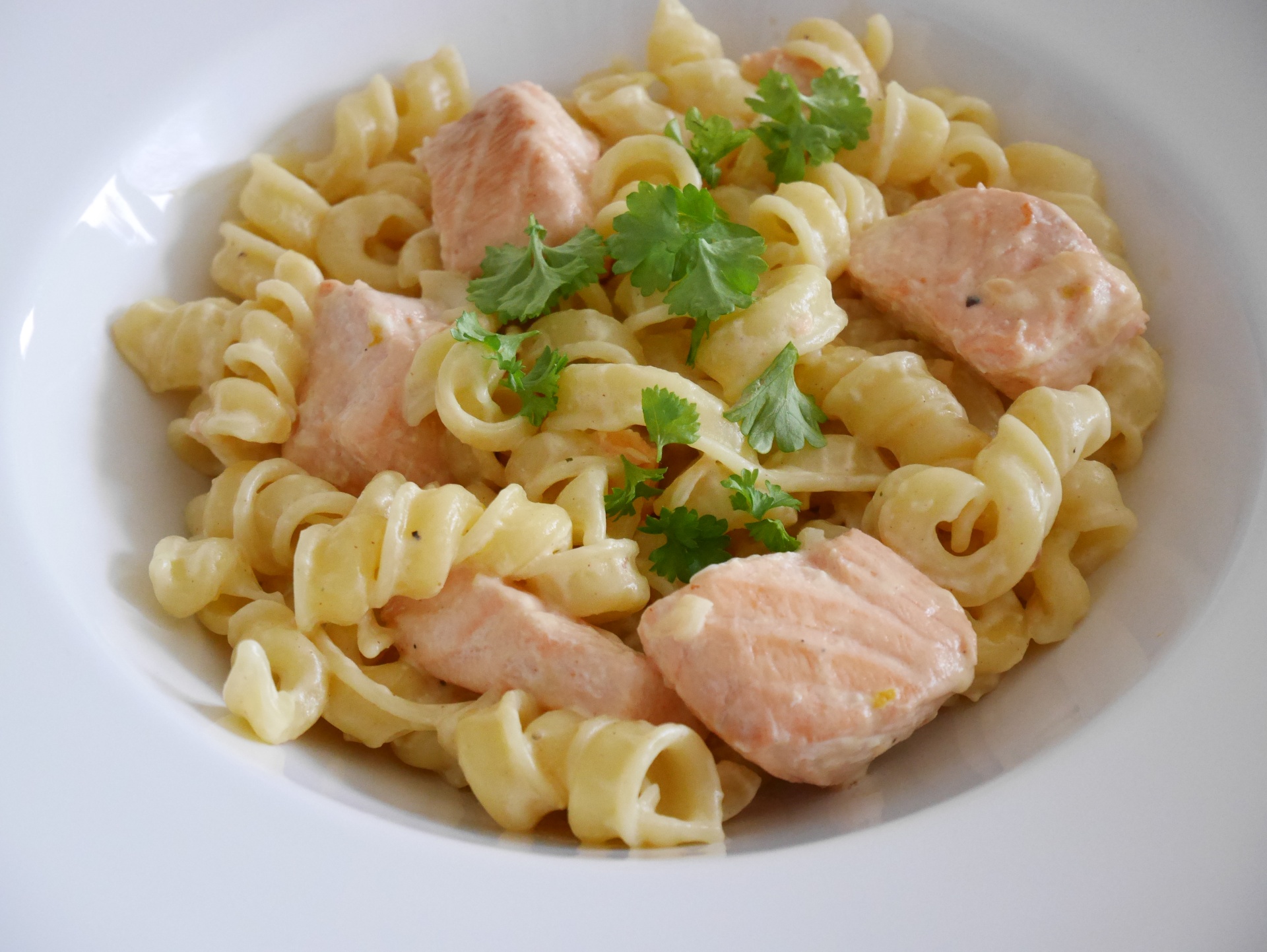 Rollini mit Lachsragout