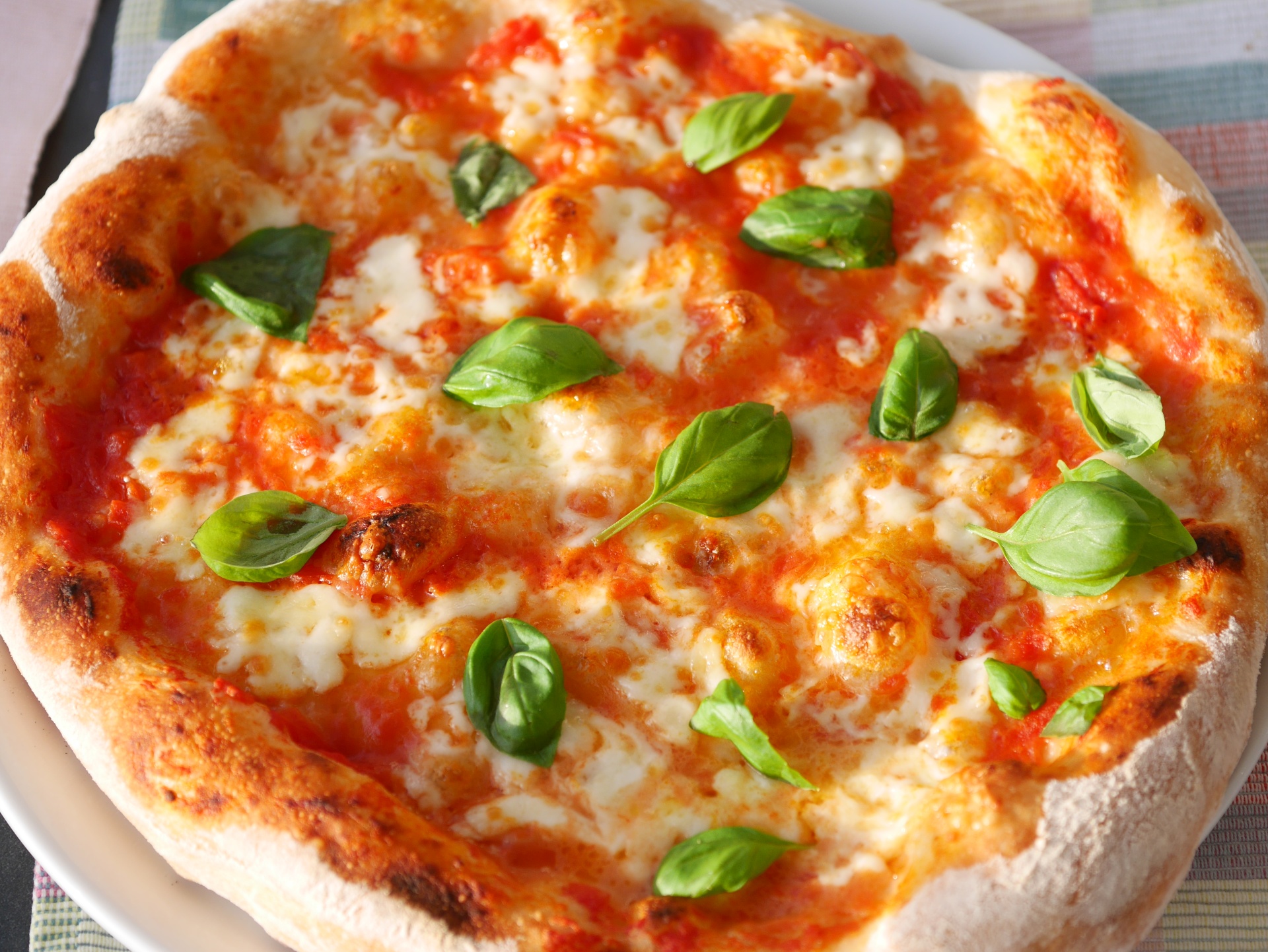 Pizza Margherita