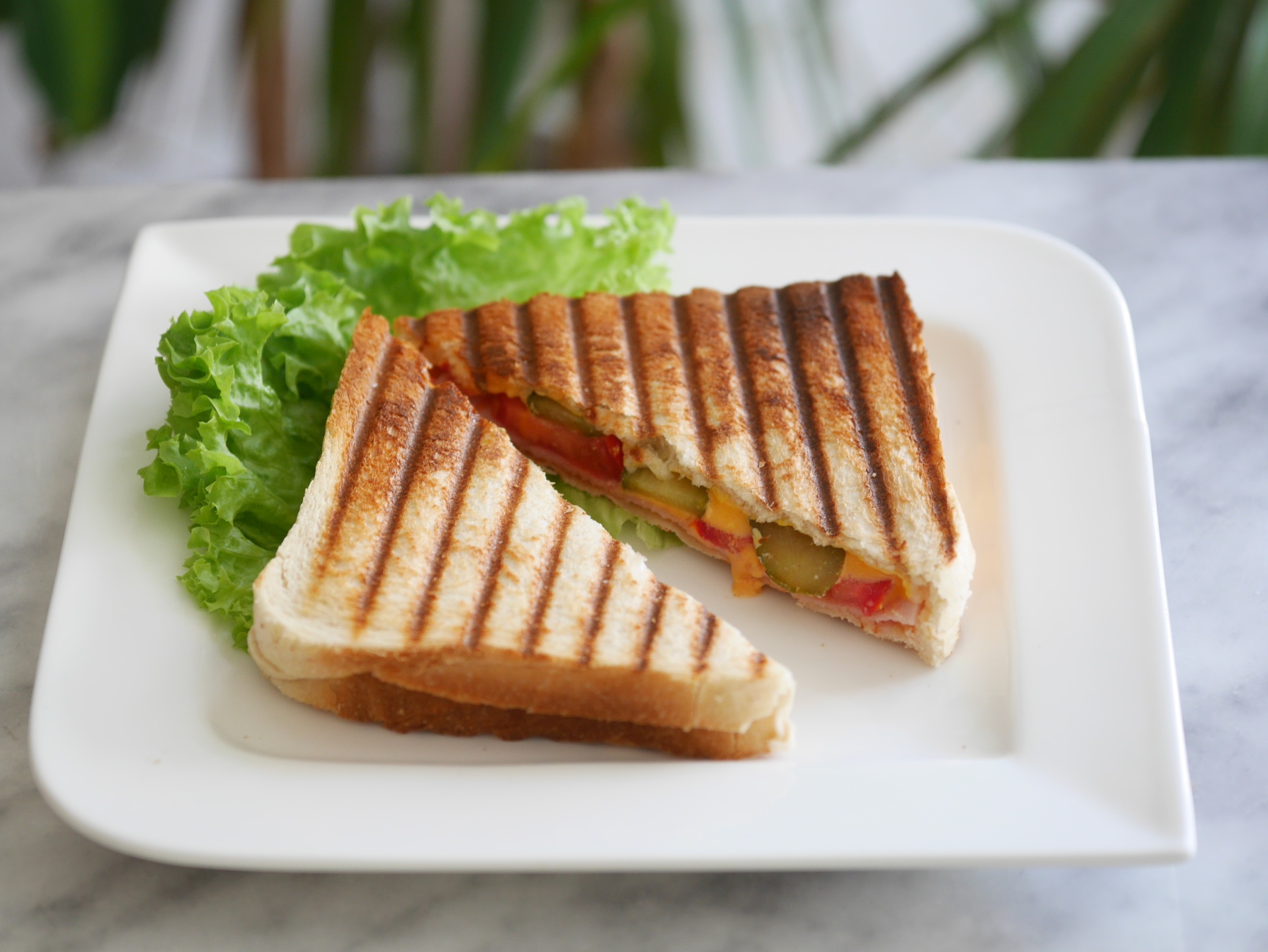 Panini mit Schinken und Schmelzksescheiben