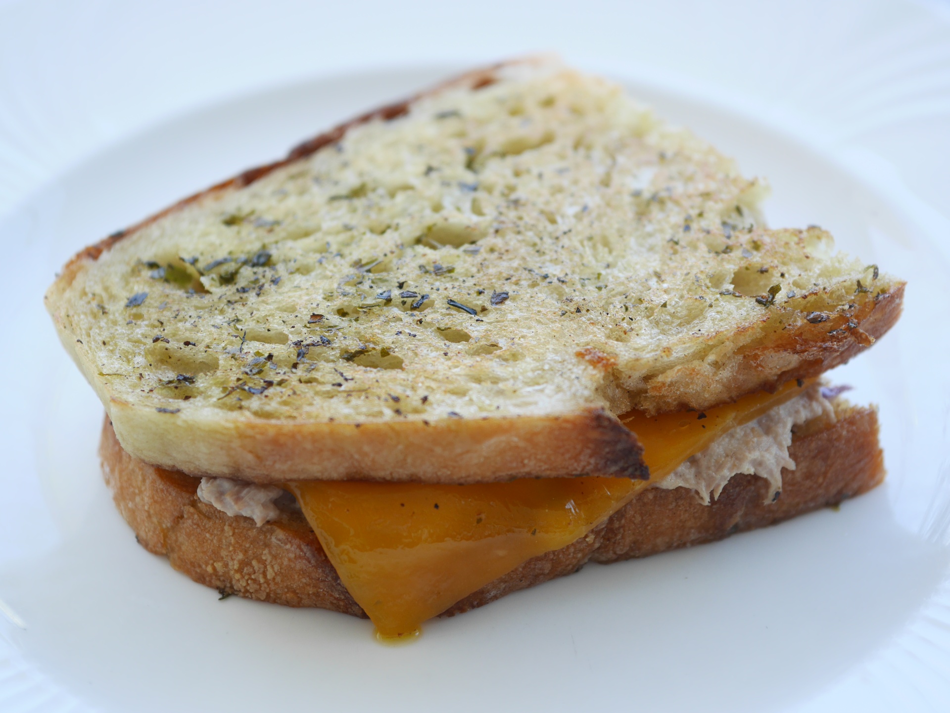 Tuna Melt Sandwich